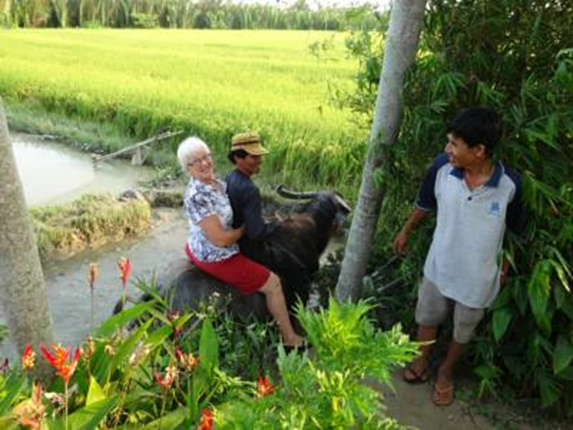Hoi An Life Villa Екстер'єр фото